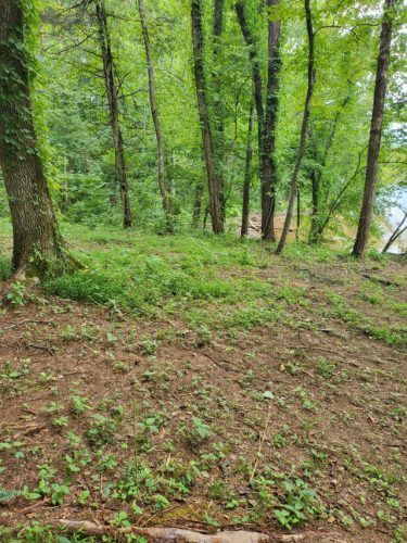 Photo-Jan-26-2026-2-34-01-PM-1-Custom