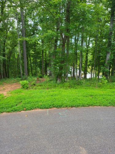 Photo-Jan-26-2026-2-34-01-PM-Custom